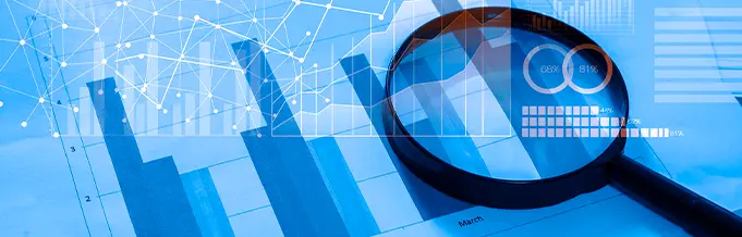 cresterea afacerilor senior software