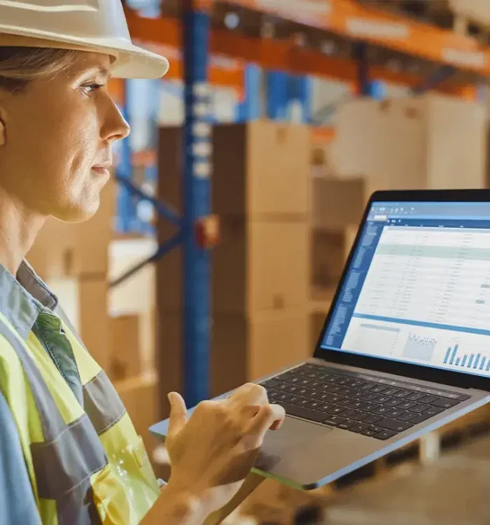 sistem inventory management stocuri companie despre companie