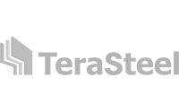 terasteel client senior software implementare sisteme software gri