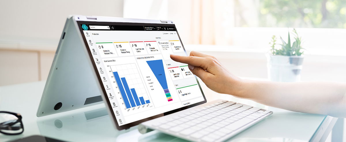 erp service dashboard din sistem software